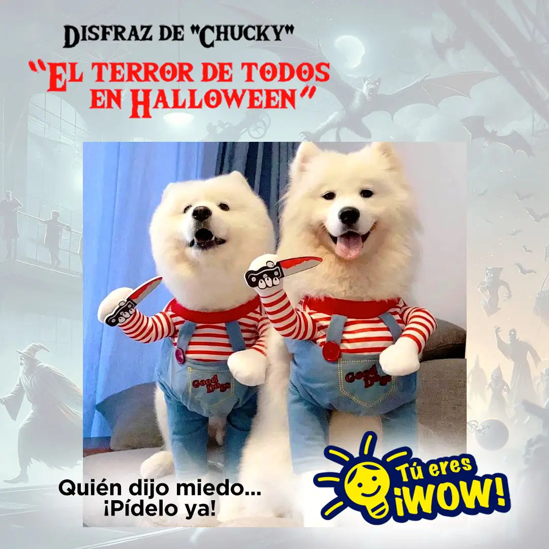 perros disfrazados
