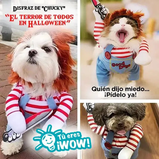 Disfraz para Mascotas "Chucky" - El terror de todos en Halloween 🐾